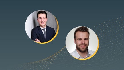 webinar-fabian-mergens-norbert-pukis-grey