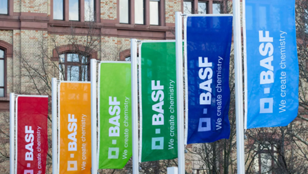 BASF flags