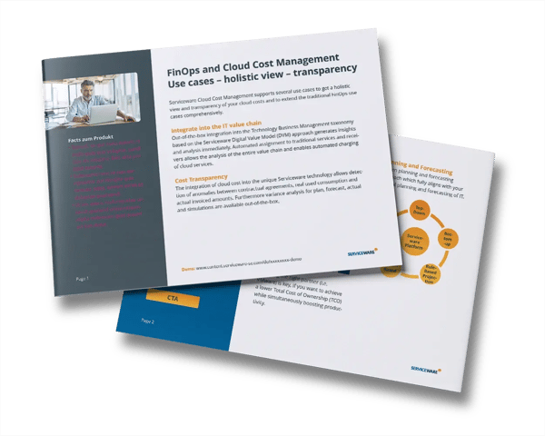 factsheet-cloud-cost-management