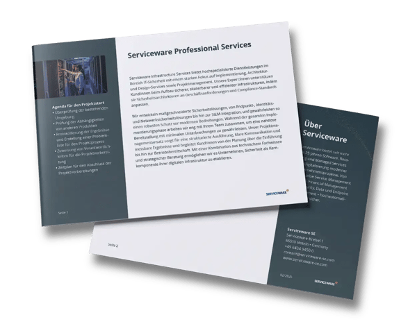 Factsheet Serviceware Professional Services