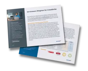factsheet-serviceware-wingman
