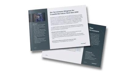 factsheet-wingman-for-crowdstrike-falcon-next-gen-siem-888x488