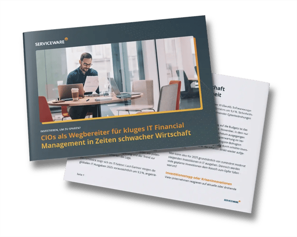 whitepaper-kluges-it-financial-management-in-zeiten-schwacher-wirtschaft